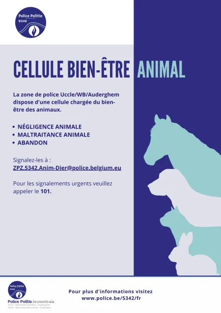 bien-être animal 
