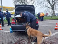 ANPR actie - Copyright Focus-WTV