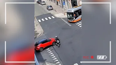 Contacts : Panel de la route - Stop, céder le passage et priorités