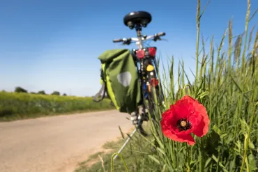 Sécurité routière : les chemins réservés de type RAVEL (Source : Pixabay Didgeman)