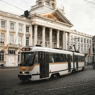 Sécurité Routière : le tram a priorité